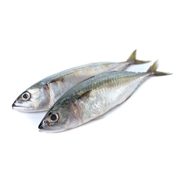 Mulackal Indian Mackerel Whole Round-1kg