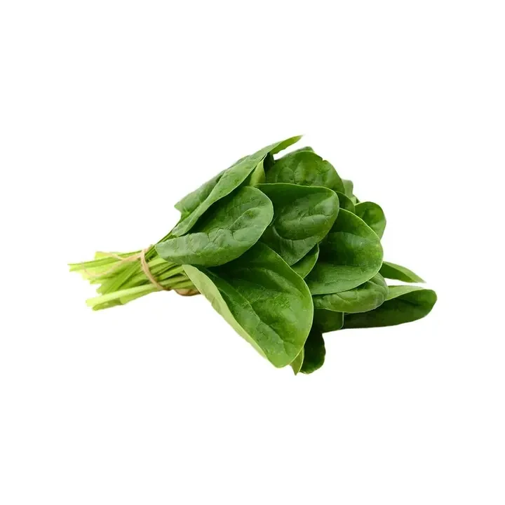 Fresh Spinach - Without Roots