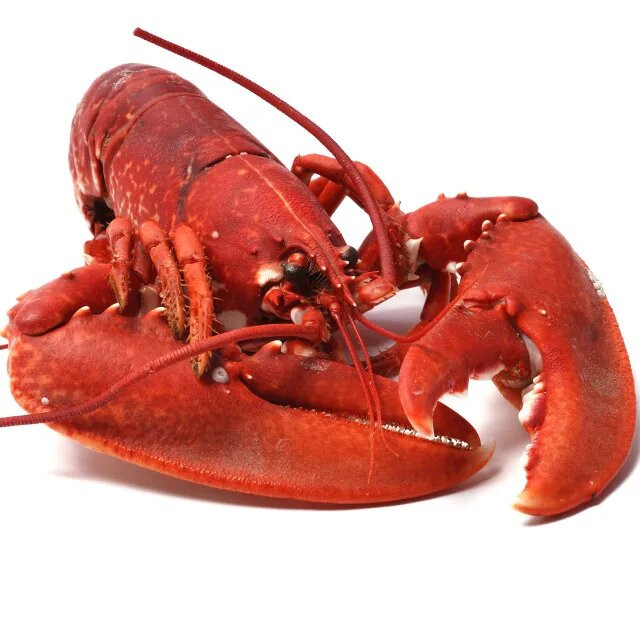 Alibaba Crayfish Whole-40gm