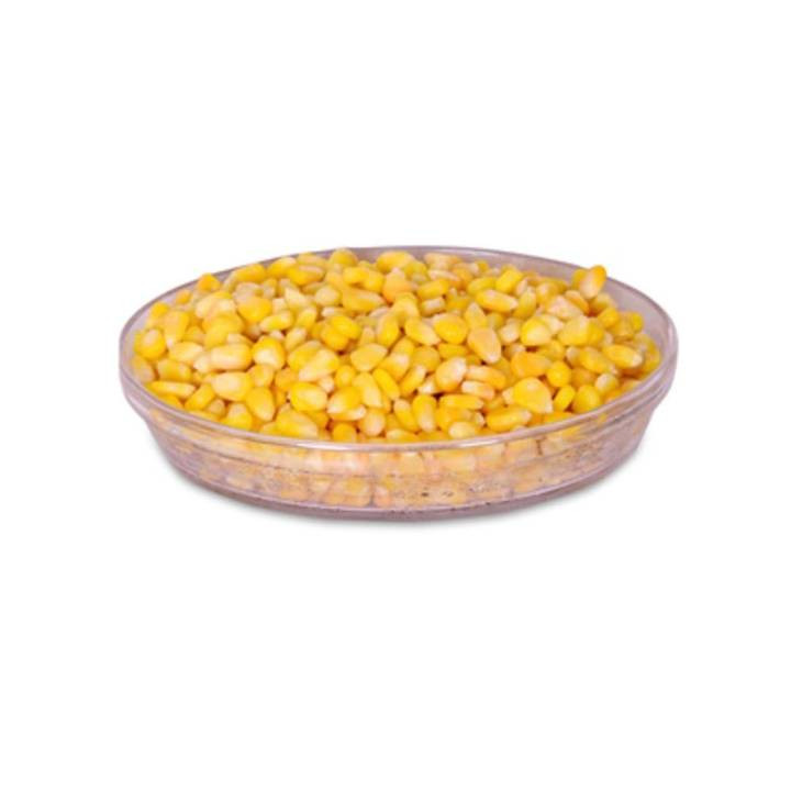 Frozen Sweet Corn