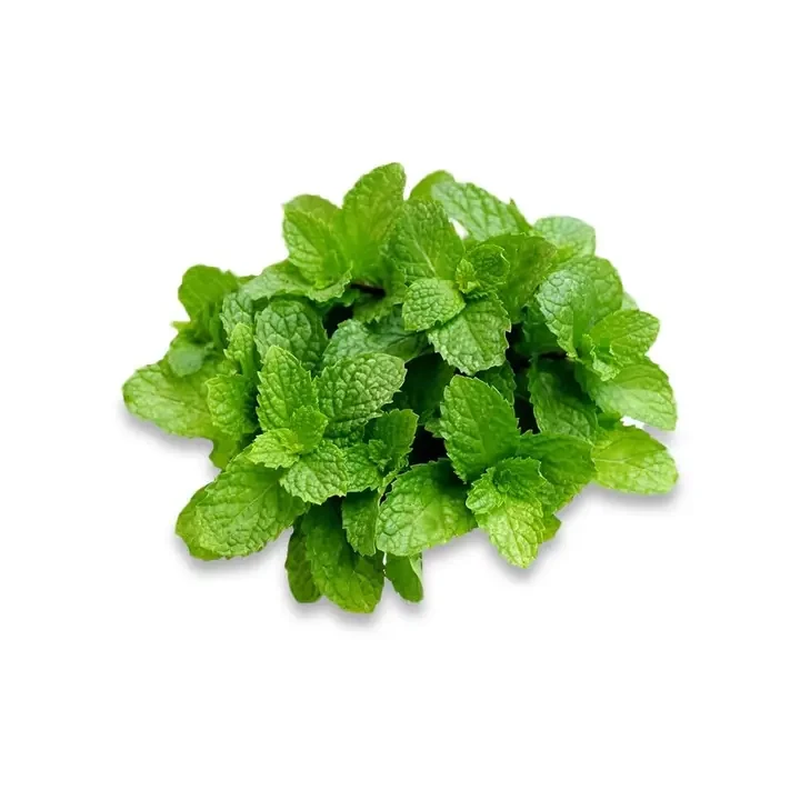 Fresh Mint Leaves - without roots