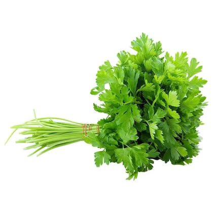 Coriander Leaves