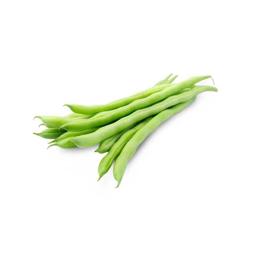 French Fresh Beans