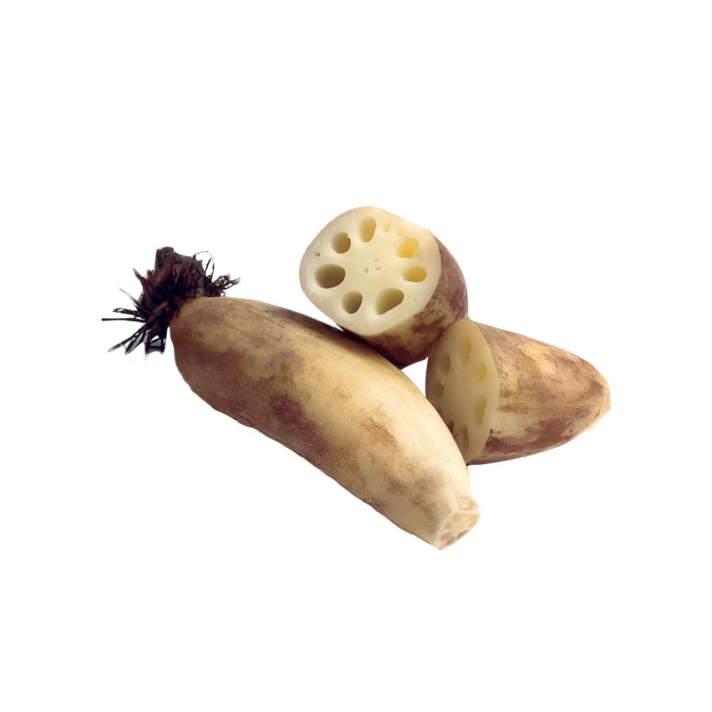 Lotus Root (Lotus Stem)